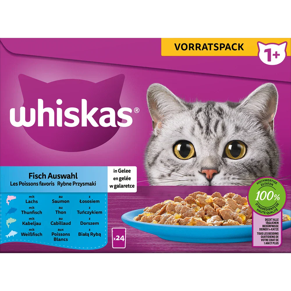 Vorschaubild 3