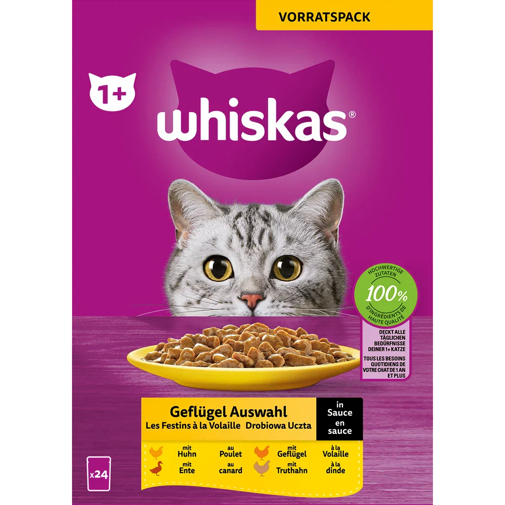 Vorschaubild 4